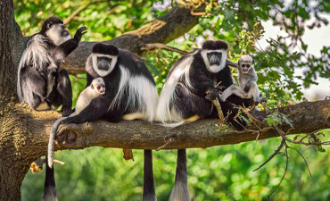 arusha-national-park-day-trip