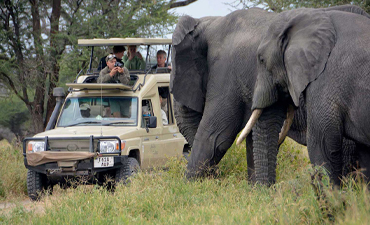 tarangire-national-park-day-tour